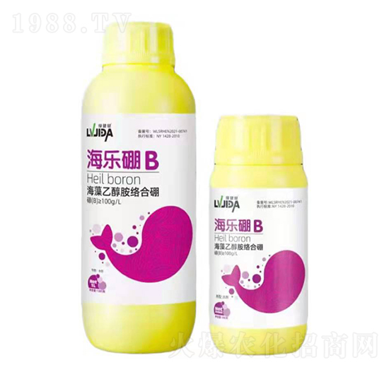 �����Ҵ����j(lu��)����-������-������