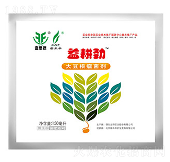 ����Ŵ󶹸�������