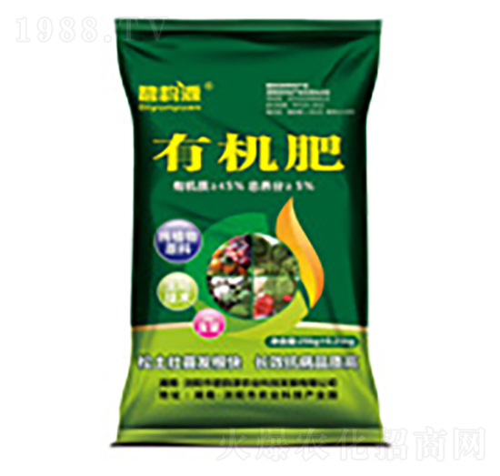 �ЙC��-�p�t�r��