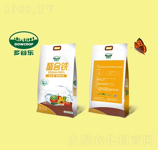 �����F-��Ș�