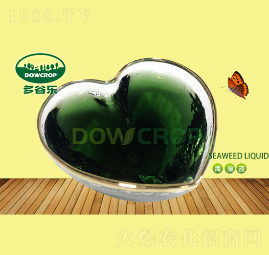 Һ�w�����-��Ș�