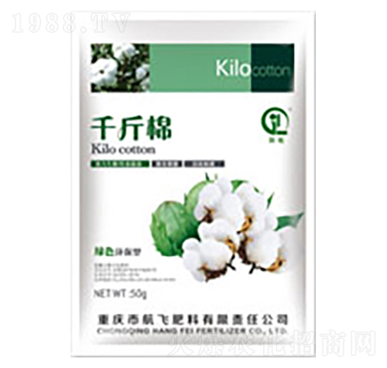 ǧ����-���л���