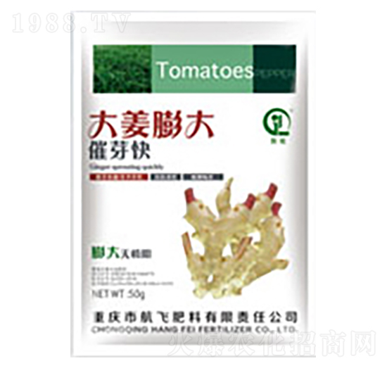 ������ѿ��-���л���