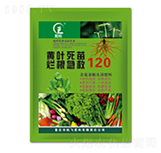 �S�~���砀������-���л���