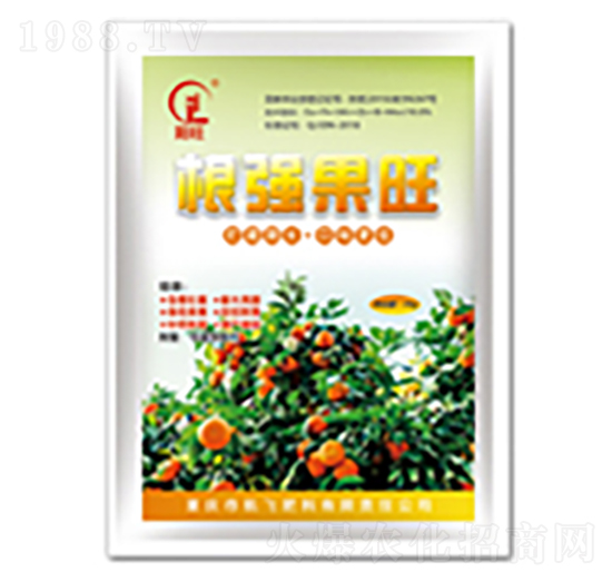 ��������-���л���