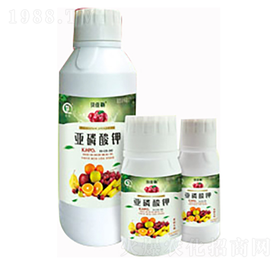 ���@��(zhu��n)�Á������-���л���