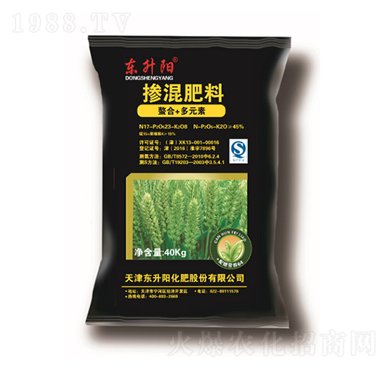 ��ጓ������-�|���