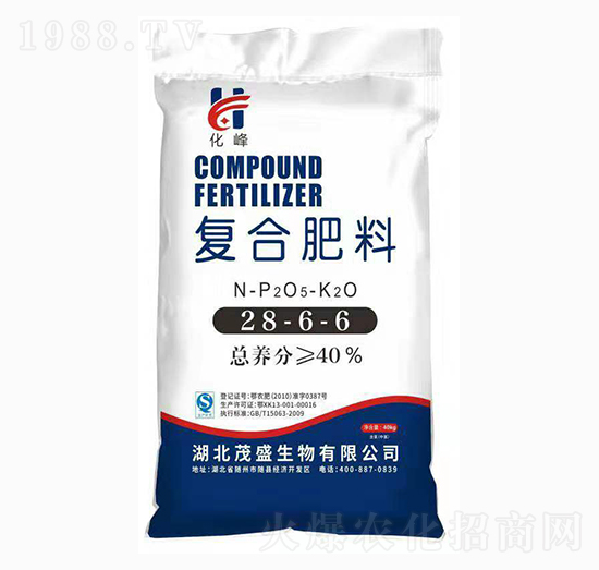 �ͺϷ���-28-6-6-����-����