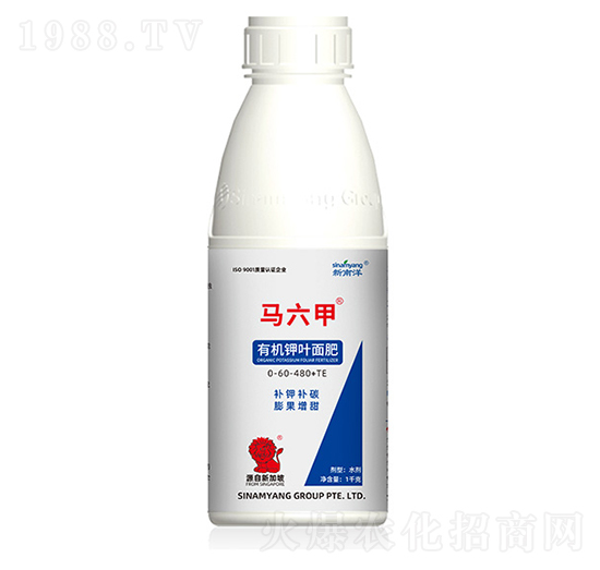 �ЙC��~���0-60-480+TE-�R����-������
