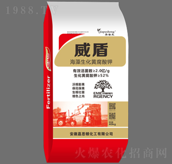 ���������S�����-����-��˼�D