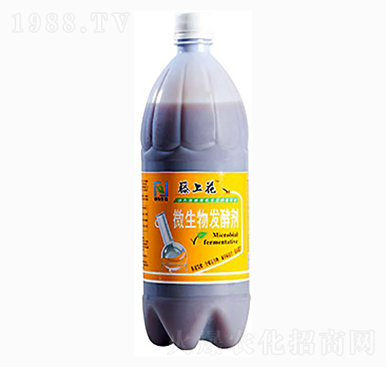΢����l(f��)�̈́�-���ϻ�-��������