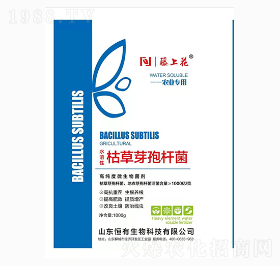 �ݲ�ѿ�ߗU��-���ϻ�-��������