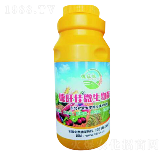 ������΢�������-�ɟj�ʘI(y��)