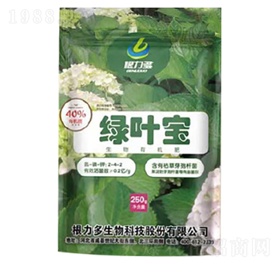 �G�~��2-4-2-������