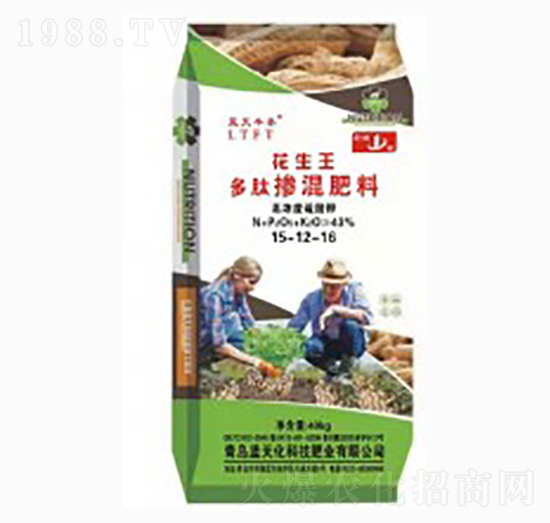 ���ē������15-12-16-������-�{���S̩