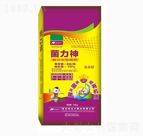 ��(f��)���������-������-������ʘI(y��)