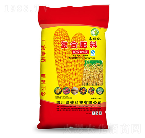 �ͺϷ���-̩�@�|-�ʢ�Ƽ�