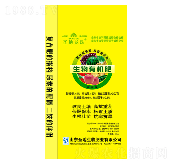 �����ЙC��-ʥ������-ʥ��