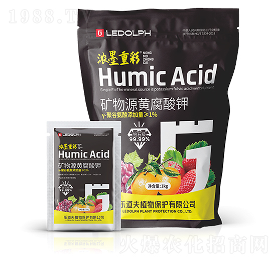 �V��Դ�S�����-��ī�ز�-������