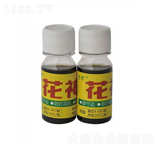 �S���r����-�r����