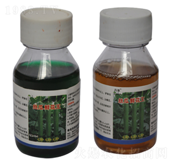 �z���r�����M��-�r(n��ng)����(l��)