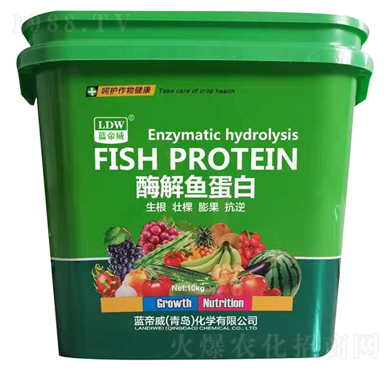 ø���~����-�{(l��n)����