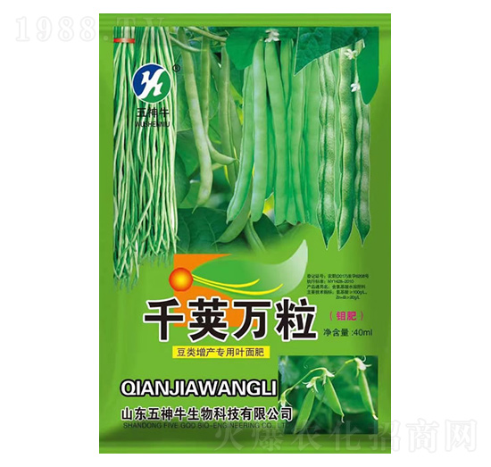 ������~���-ǧ�v�f(w��n)��-����ţ