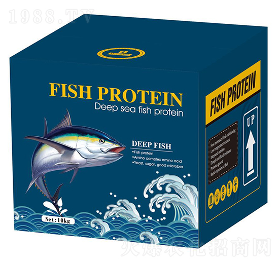 С�����~���ף��{��-������