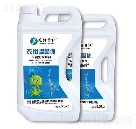 ƽ�����r(n��ng)���ɾ��w135-130-135+TE-�r(n��ng)������