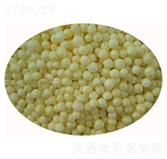 ���������-���ѷʘI(y��)