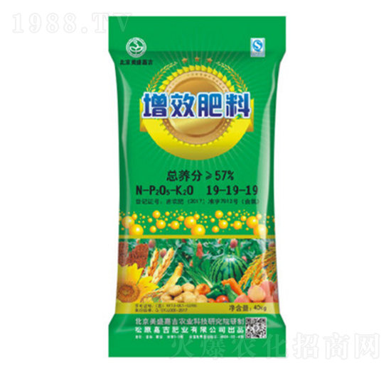 ��Ч����19-19-19-��ʢ�μ�