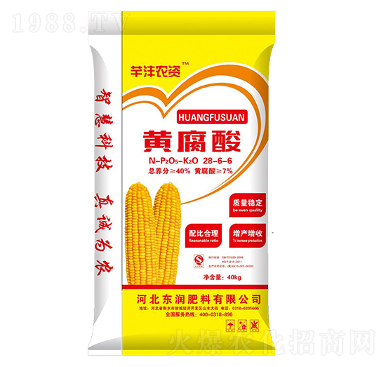 �S����28-6-6-�|������