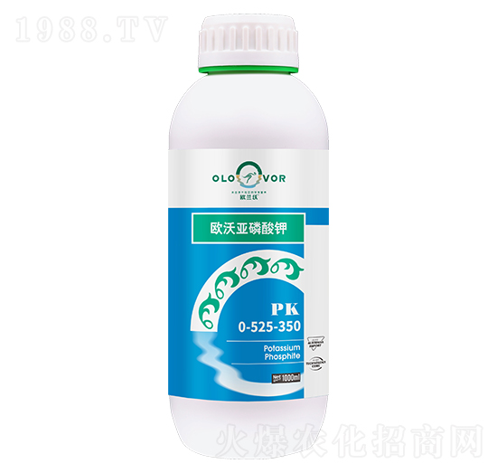 �W�ց������0-525-350-�W�m��