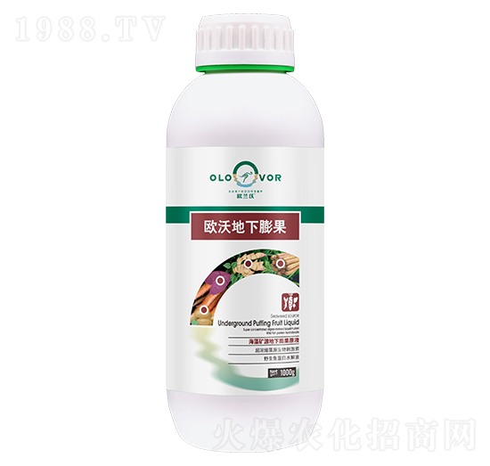 �W�ֵ������-�W�m��