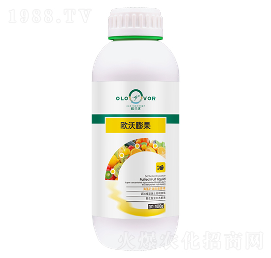 �W�����-�W�m��