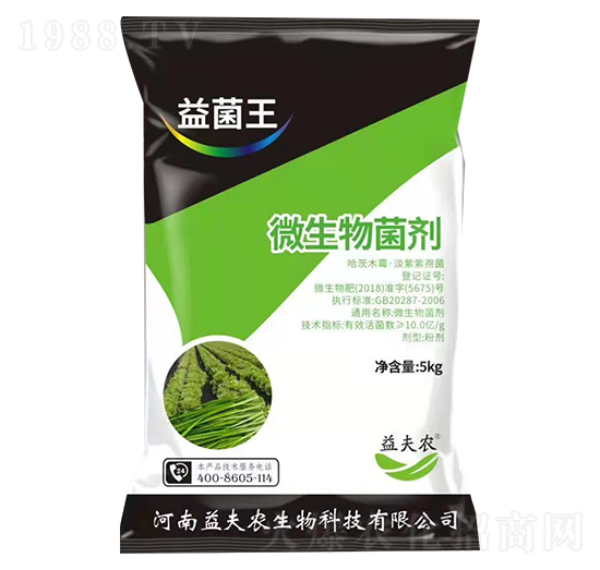 ΢�������-�����-����r