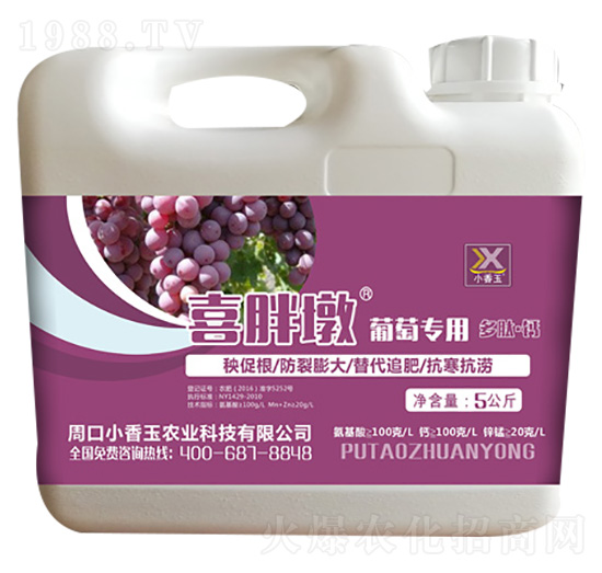 ���ь�(zhu��n)�ö��ġ��}-ϲ�ֶ�-С����