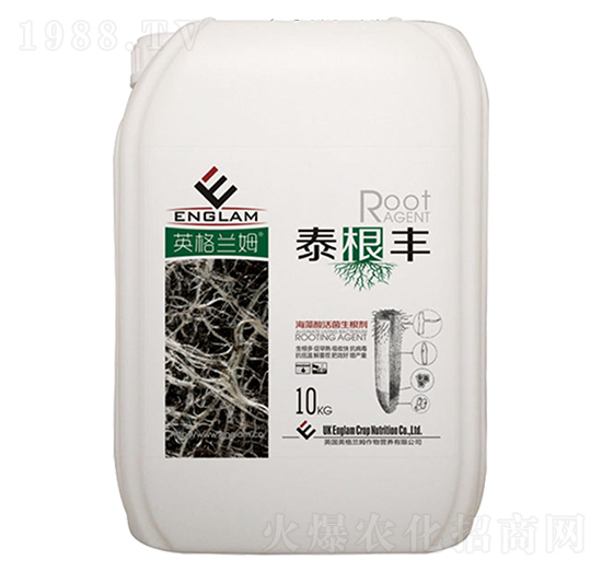 ��������������-̩���S-��̩���S