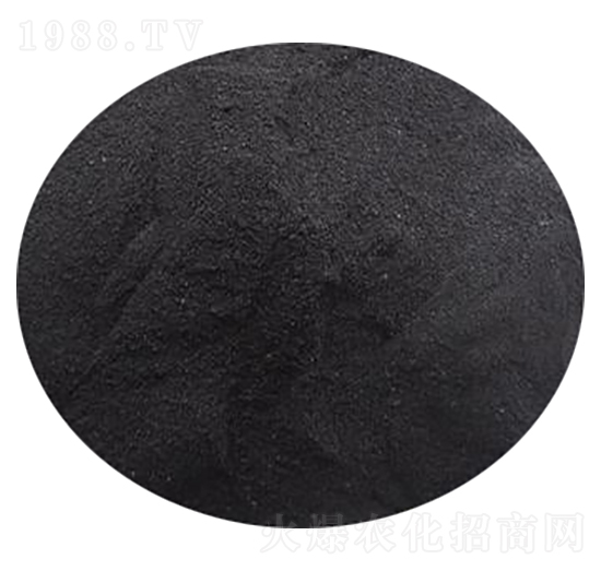 �S��ֲ���-���S����