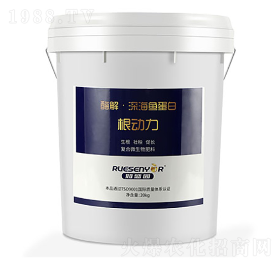 ø����~(y��)����-����(d��ng)��-����������