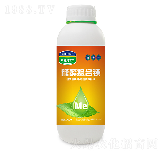 �Ǵ������V-�пƝ�(r��n)���S