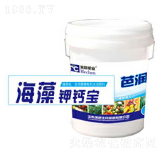 ������}��-�ŝ�(r��n)-�\(ch��ng)������