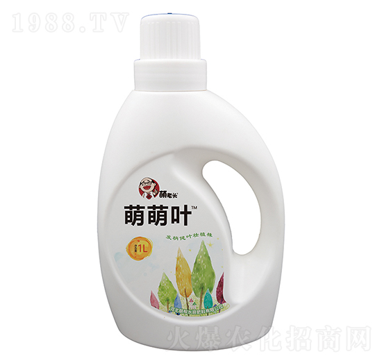 �����~-�Ȏ�