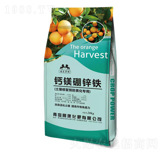 �����ޏ��A���S������-�}�V���\�F-��������