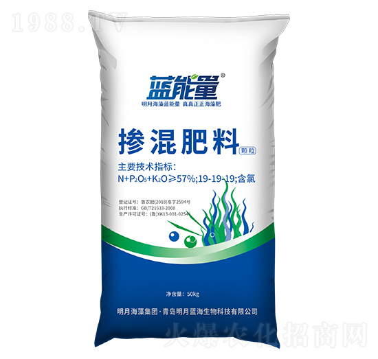 �w���������19-19-19-�{(l��n)����