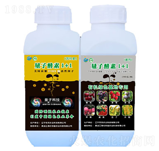 ���ӽ���1+1-�p���r(n��ng)�I(y��)