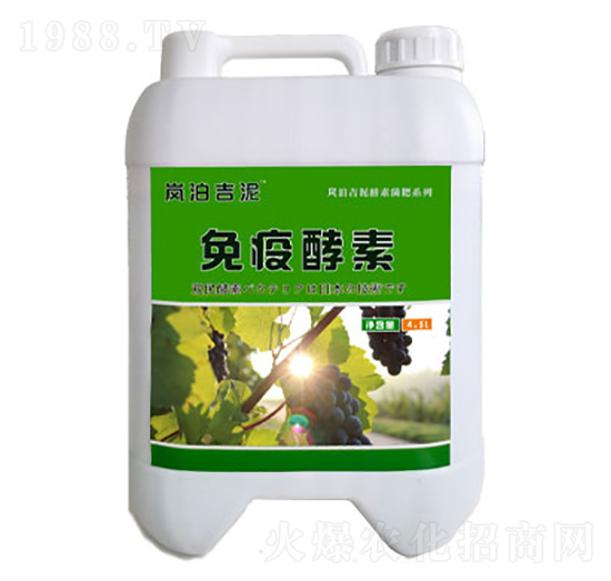 ���߽���-�p���r�I(y��)