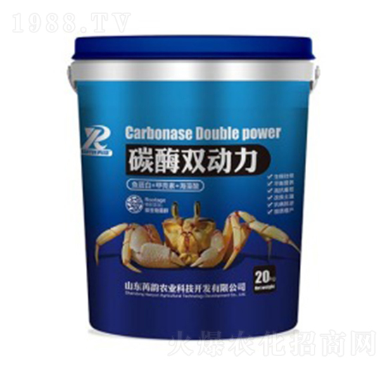 ̼ø�p��(d��ng)��-����r(n��ng)�I(y��)