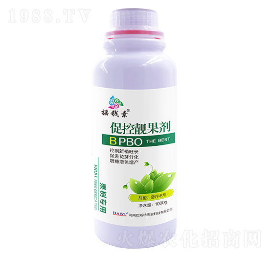 �ٿ��n����-�u�X������