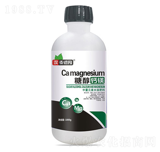 �Ǵ��}�V-����¡